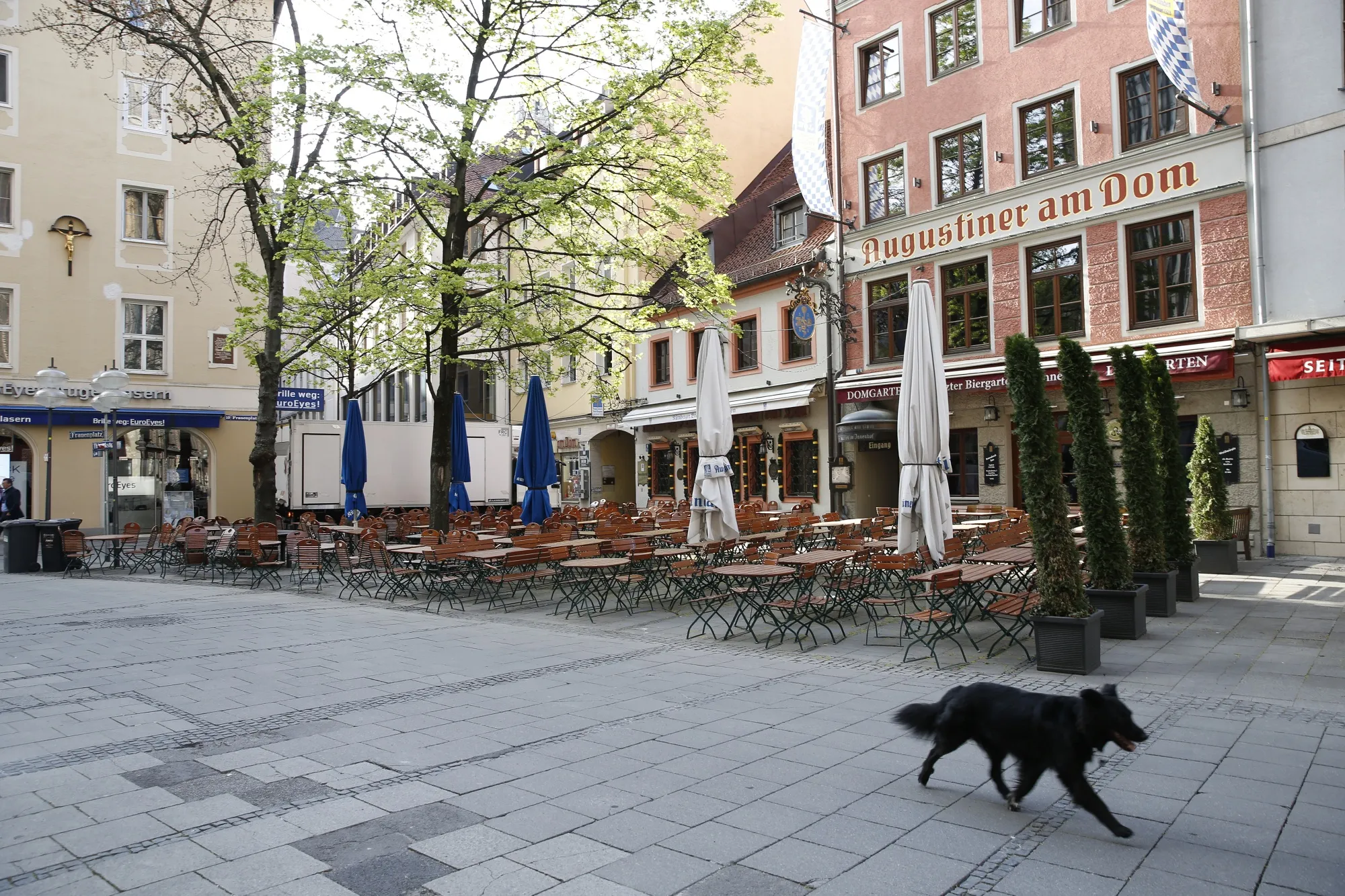 A dog passes empty tables and chairs on a closed restaurant terrace during coronavirus lockdown in Munich on April 7.