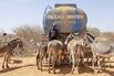 A water relief truck to assist villagers and their livestock in Banissa, Kenya.