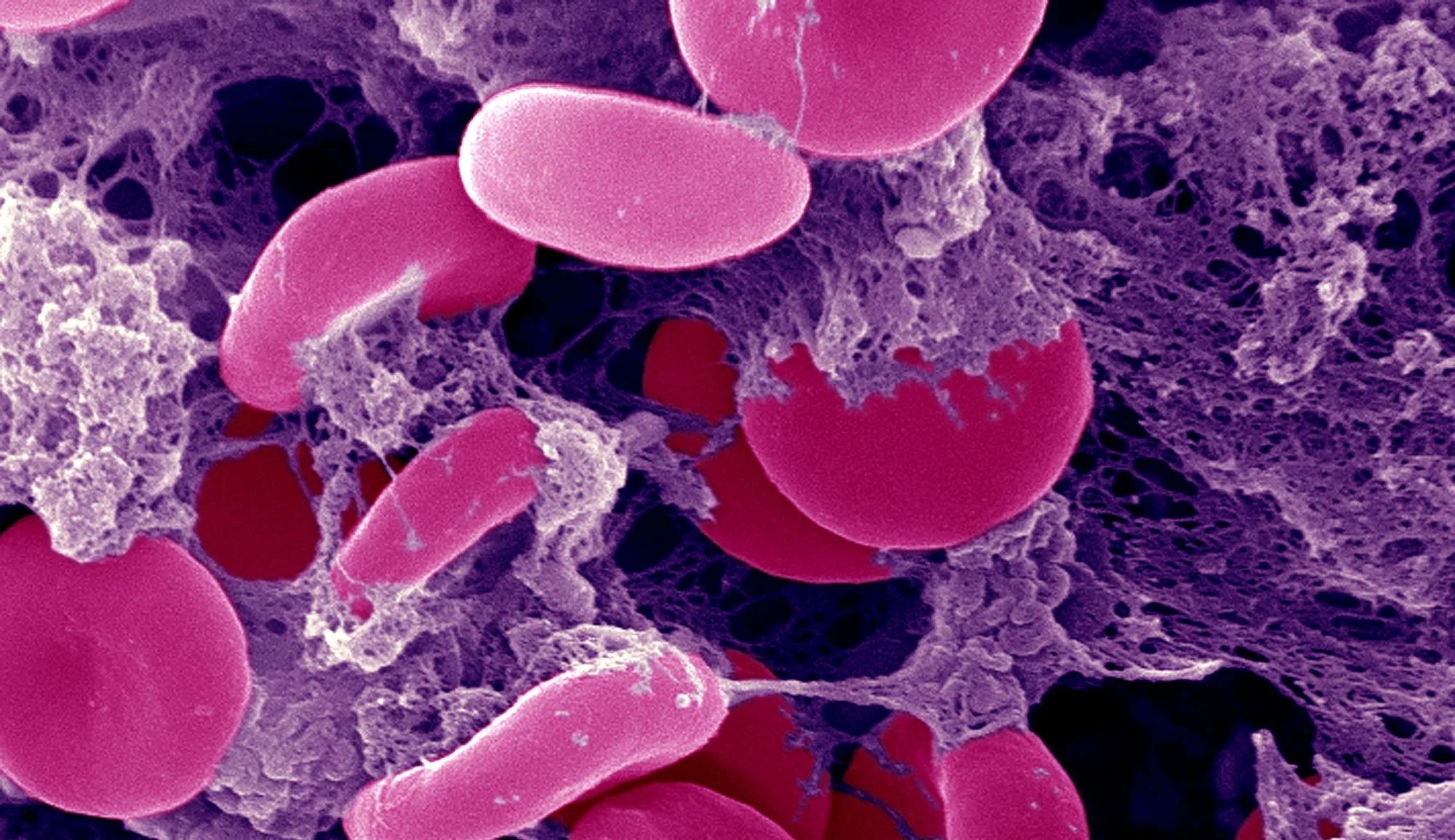 1491856484_GettyImages-151059420