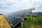 Crayola Unveils 15-Acre Solar Farm At Company's Headquarters