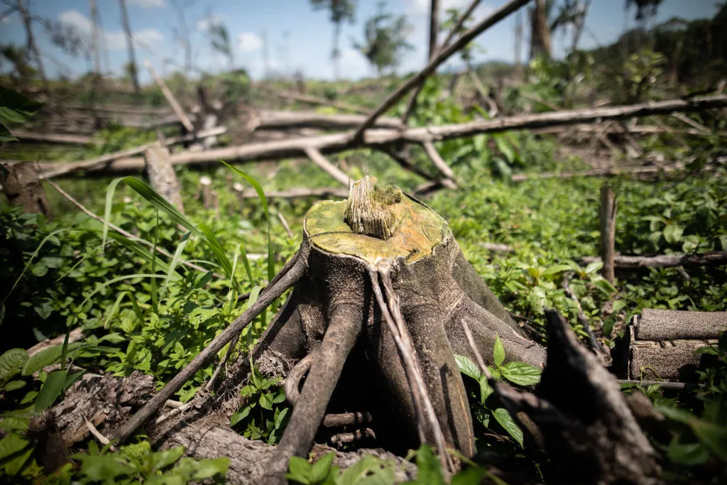 Losing ground.&nbsp;