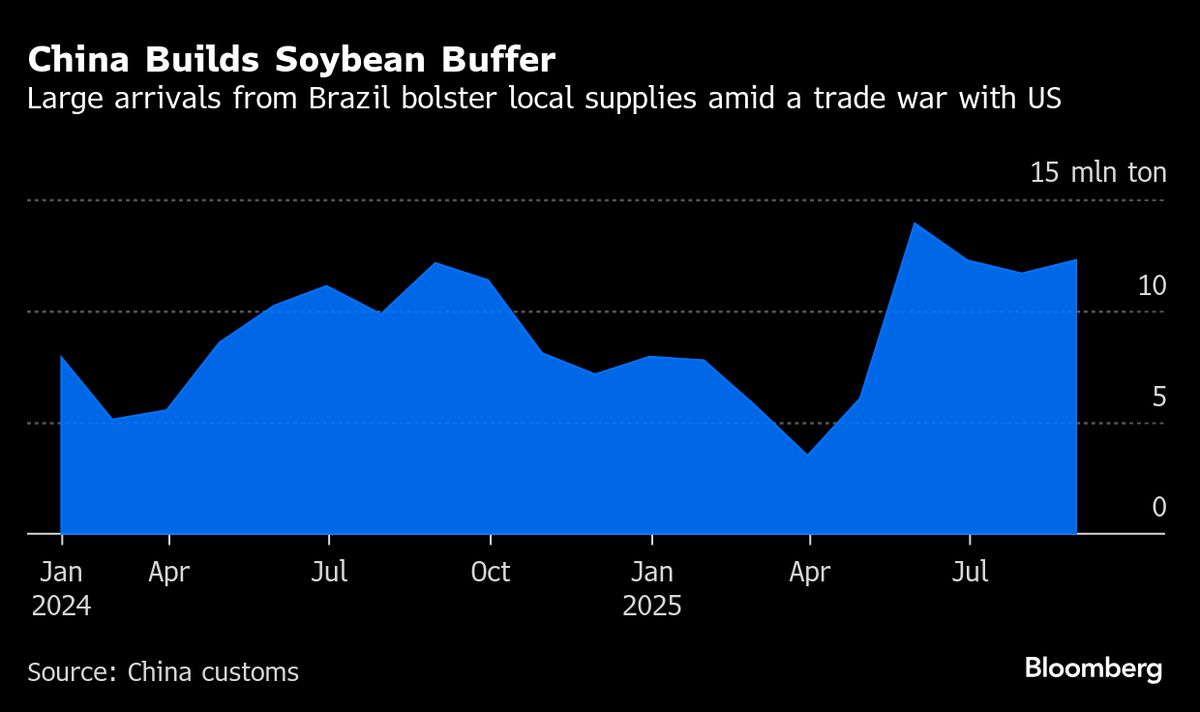 China Bolsters Soybean Stockpiles Ahead of US Export Surge