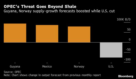 OPEC Sees Growing Supply Threat From Rivals Beyond U.S. Shale
