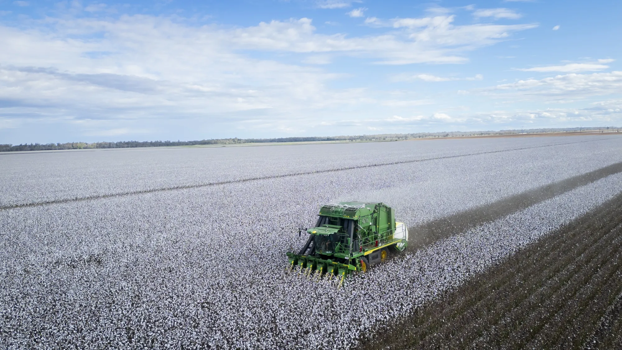 Cotton futures&nbsp;rose as much as 4.3%, to the highest intraday price in two month.&nbsp;