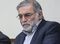 Iran's top nuclear scientist assassinated near capital