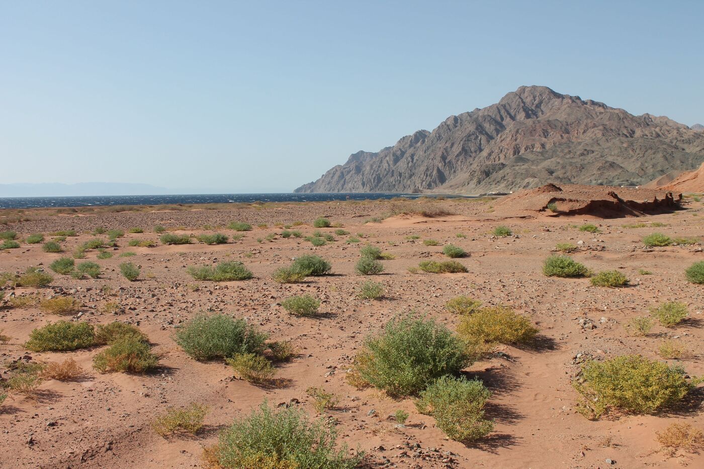 Photos for NEOM Feature