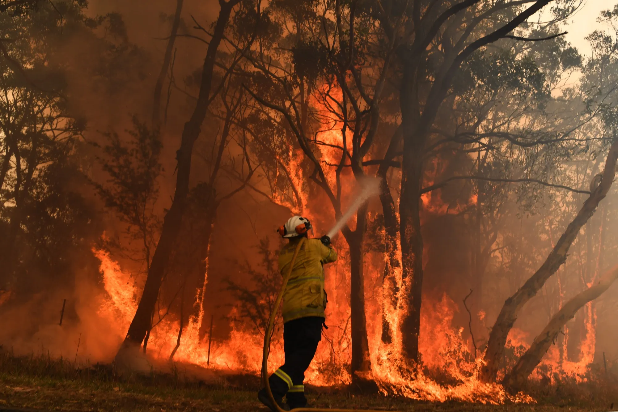Firefighters fight a flare up on a containment line at the Three Mile Fire on the Central Coast, Australia on Dec.&nbsp;10.