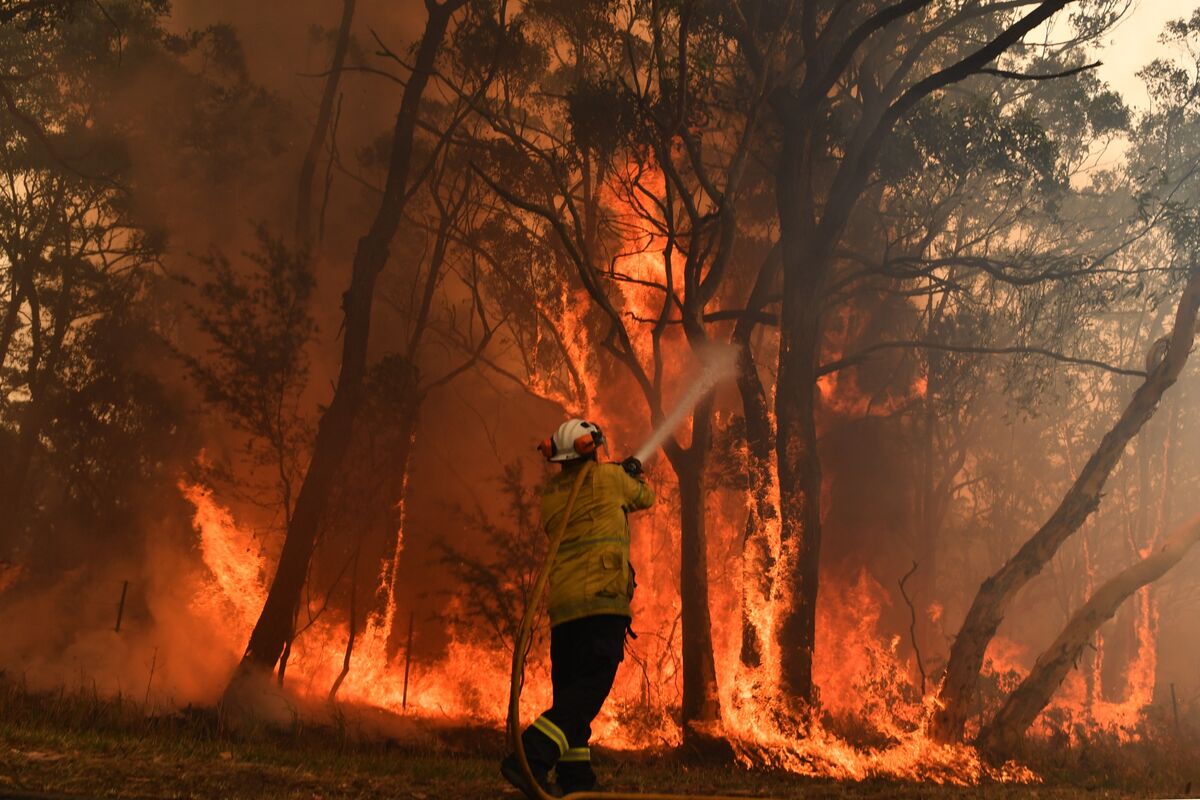 Australia Has More Wildfire Hotspots Than Brazil and Indonesia - Bloomberg