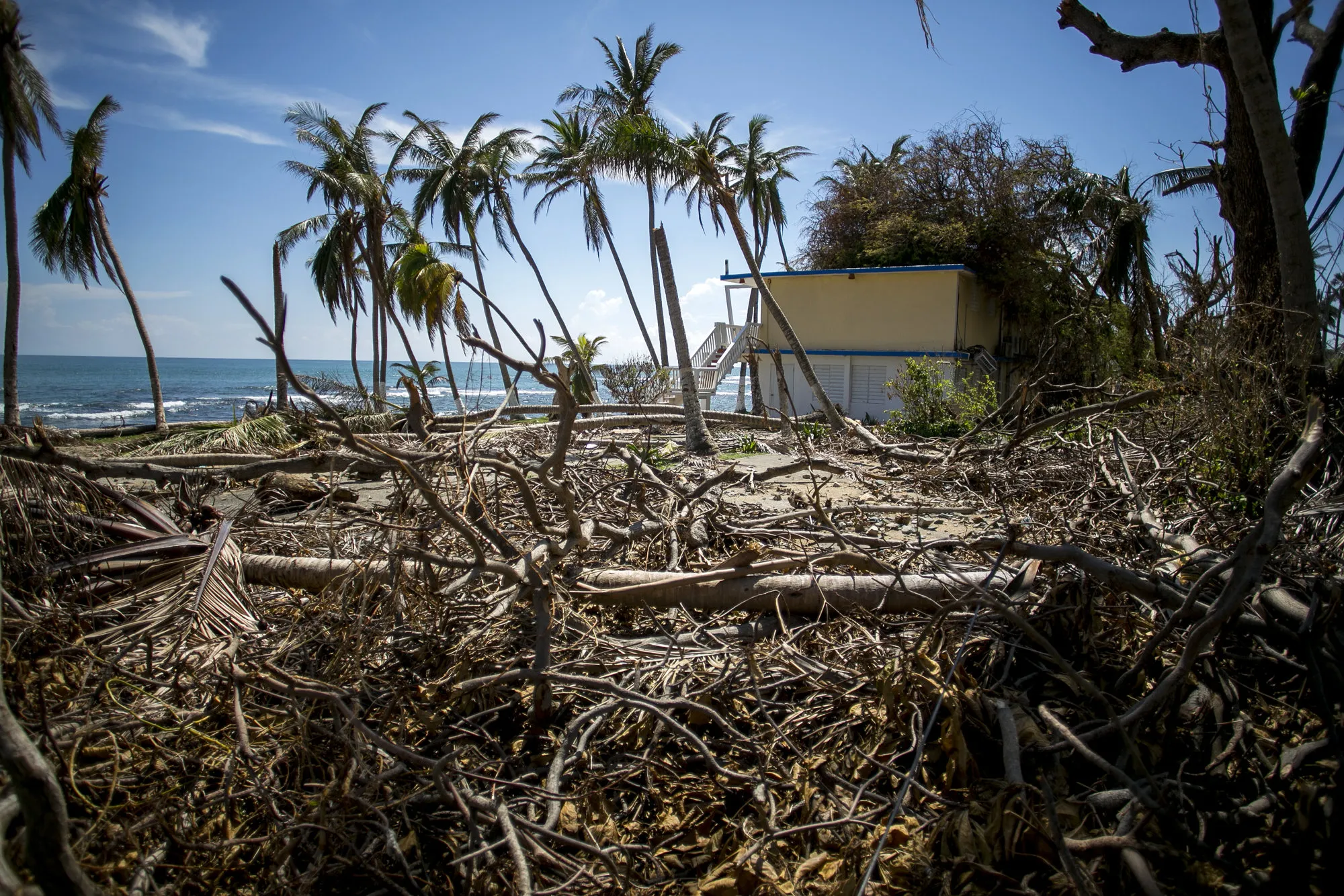 Plant debris sits outside of the damaged Caribe Playa Beach Resort after Hurricane Maria in Patillas, Puerto Rico, on Oct. 6.
