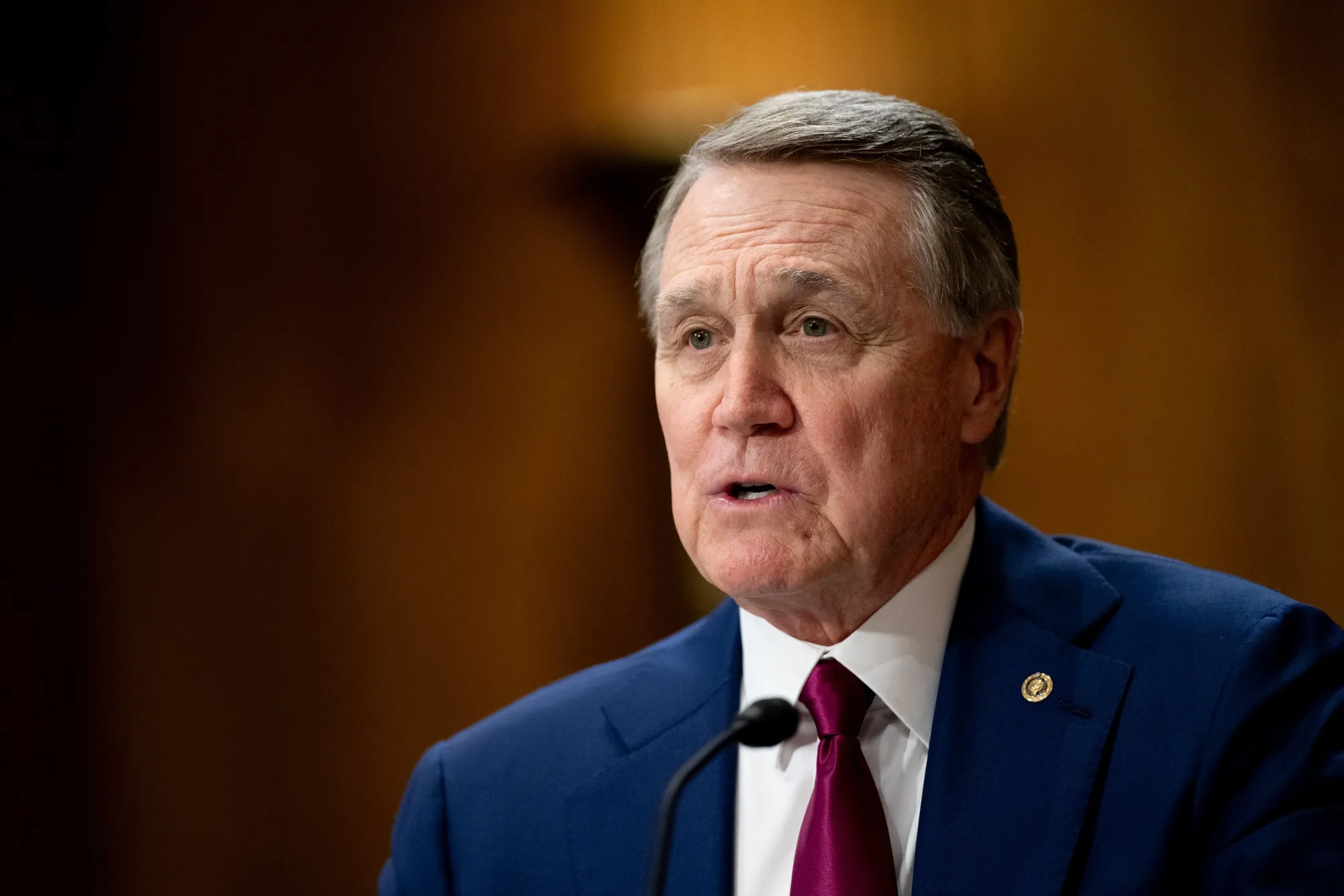 David Perdue