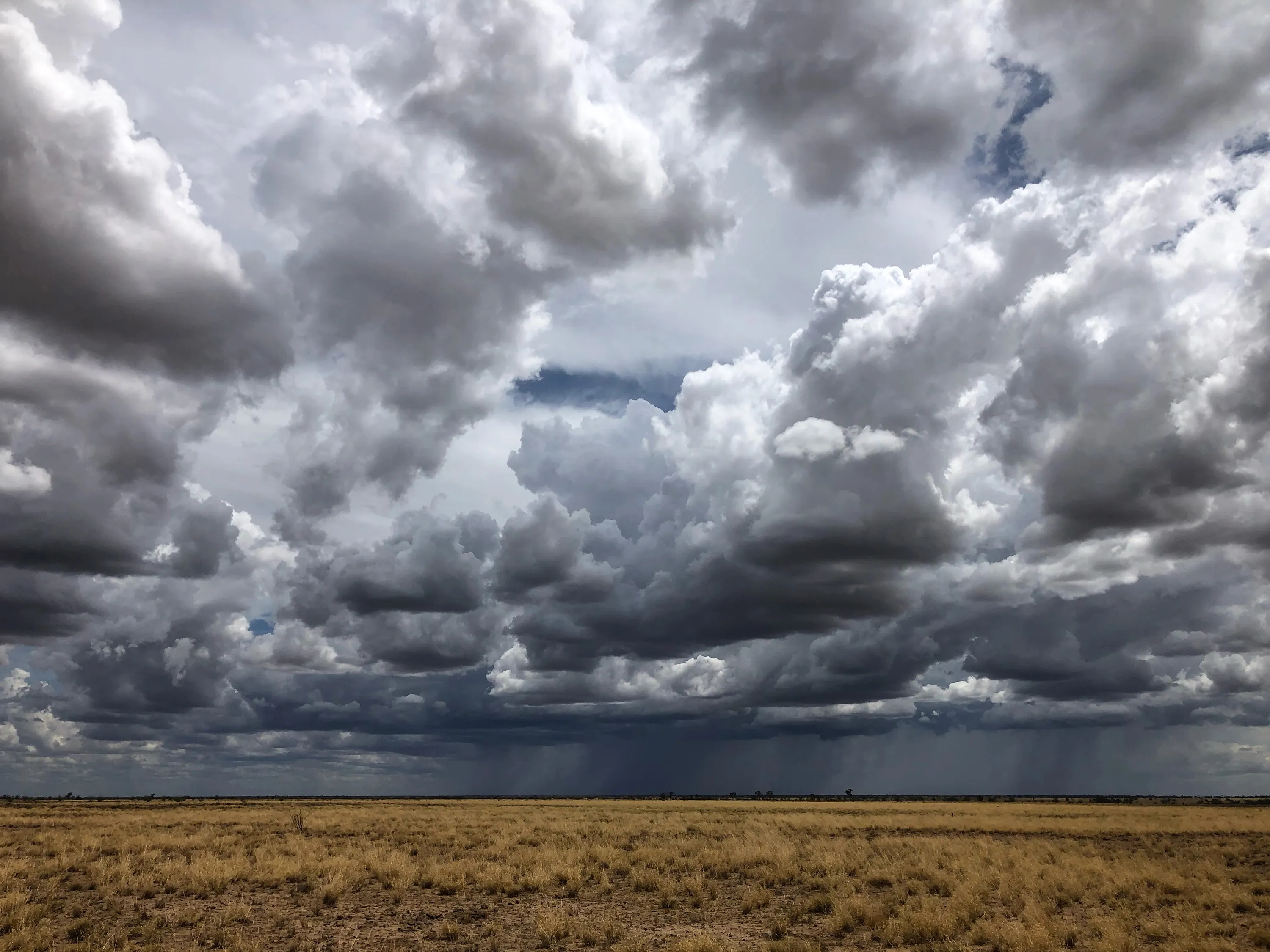 Jody Brown’s ranch in Queensland, Australia.
