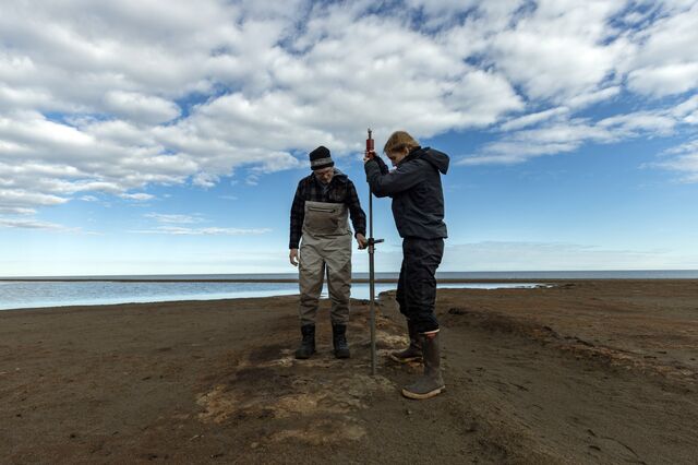 Jim McClelland and Liz Elstrom use a stake-like instrument to take soil samples from the edge of a Beaufort Sea lagoon.  