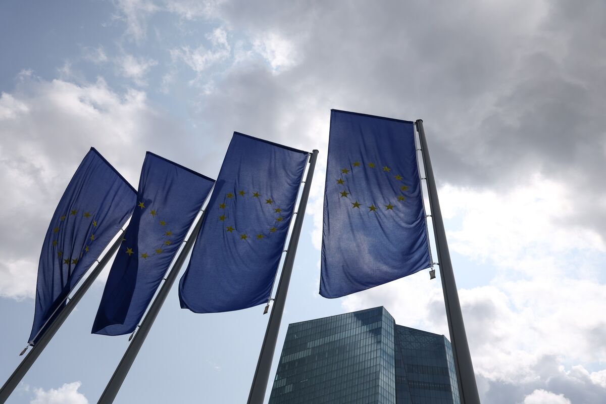 🟪"Banca Centrale Europea: prevista una pausa nella riduzione dei tassi di interesse a luglio"