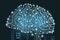 Digital Human Brain Covered with Networks