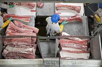 Butchers place pork ribs on a conveyor belt at a pork processing facility in 2017. 
