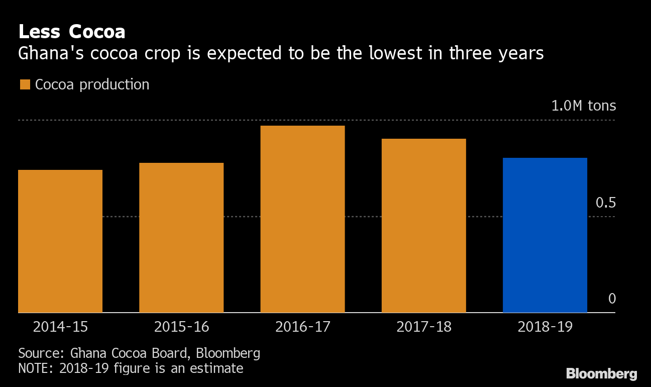 Cocoa Trees Are Being Ravaged By a Disease With No Known Cure Bloomberg