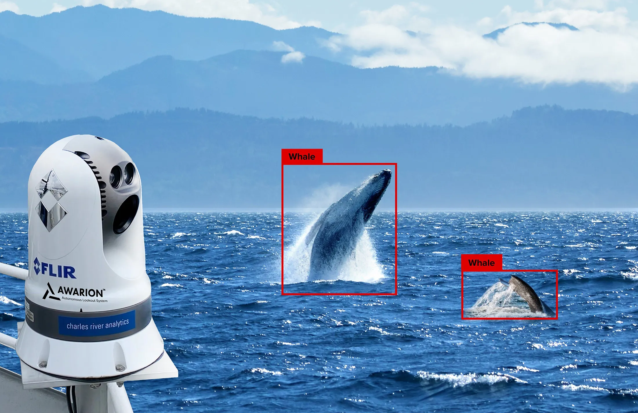 AI Technology to Protect Whales From Wind Farm Ships - Bloomberg