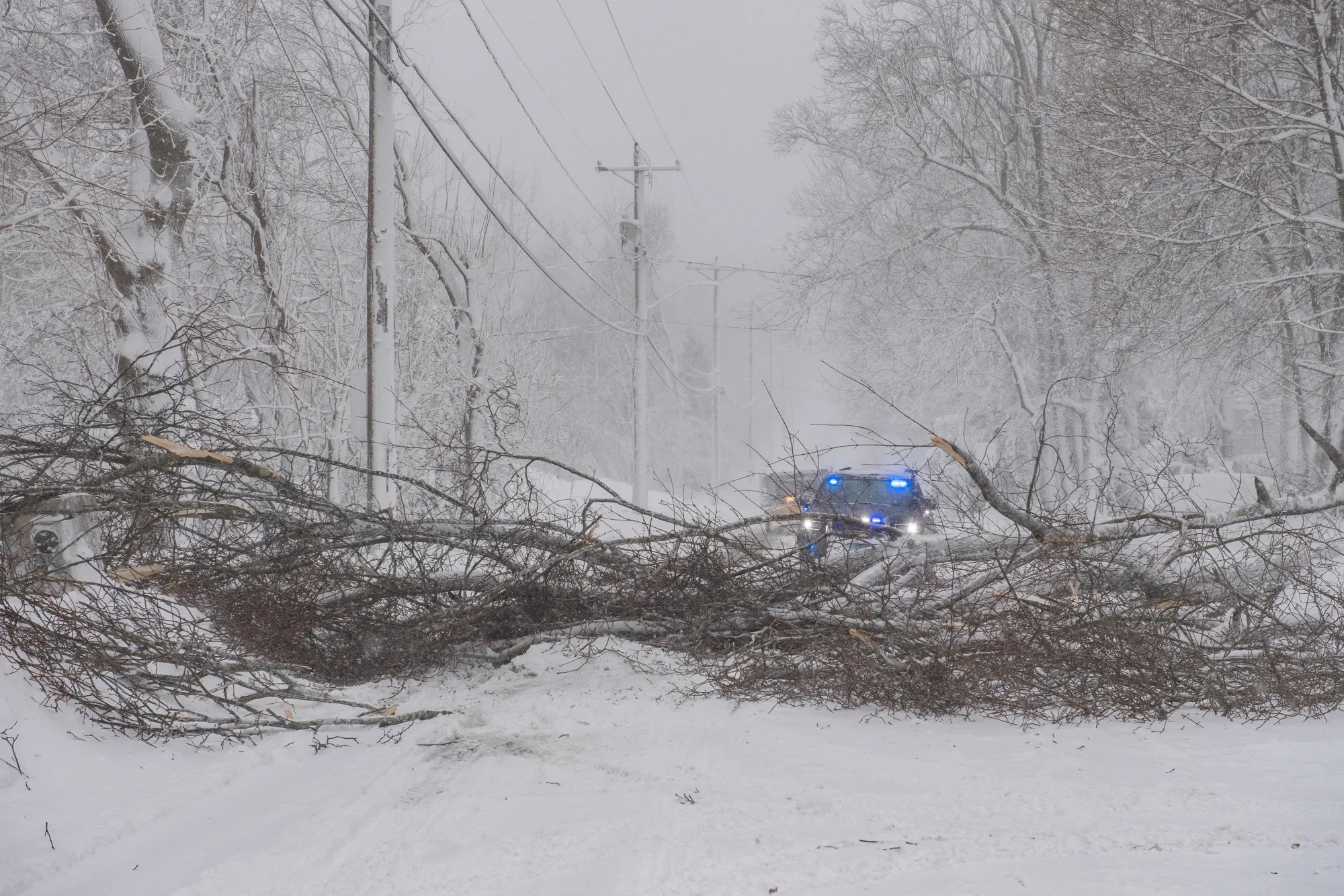 Trees block a road during a winter storm in Scituate, Massachusetts on Feb. 23.