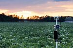 Arable makes solar-powered weather stations that help&nbsp;farms utilize resources such as water and fertilizer.