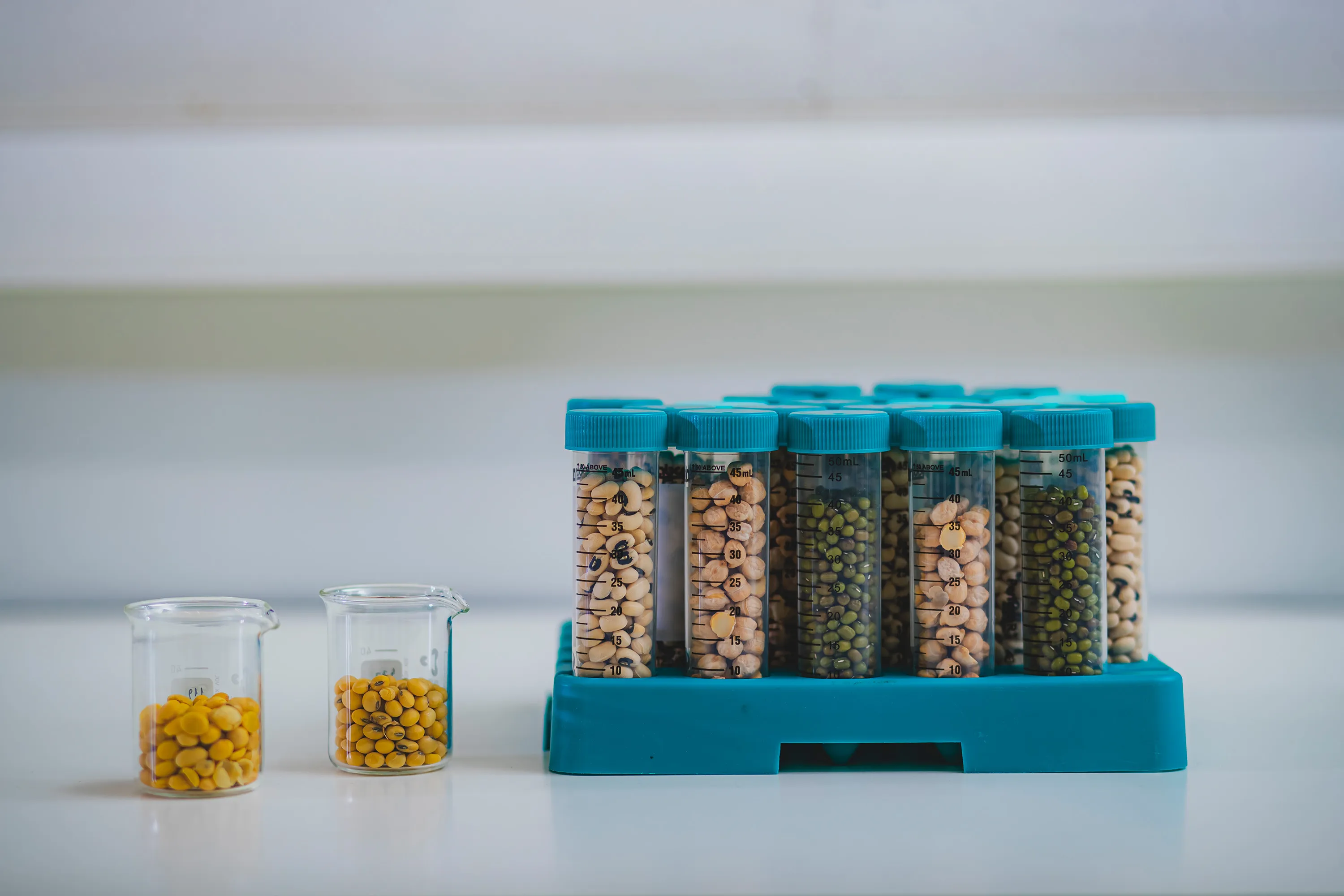 Equinom will use new capital to commercialize its plant-based protein ingredients.