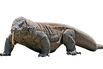 1495125985_tech_dragonblood22-1