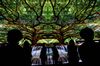 Attendees are reflected in a mirror, right, as they stand in front of a curved electronic display wall at the entrance to the LG Electronics Inc. booth at the 2019 Consumer Electronics Show (CES) in Las Vegas, Nevada, U.S., on Tuesday, Jan. 8, 2019. Dozens of companies will give presentations at the event, where attendance is expected to top 180,000, with the trade war between the U.S. and China as well as Apple's sales woes looming over the gathering.