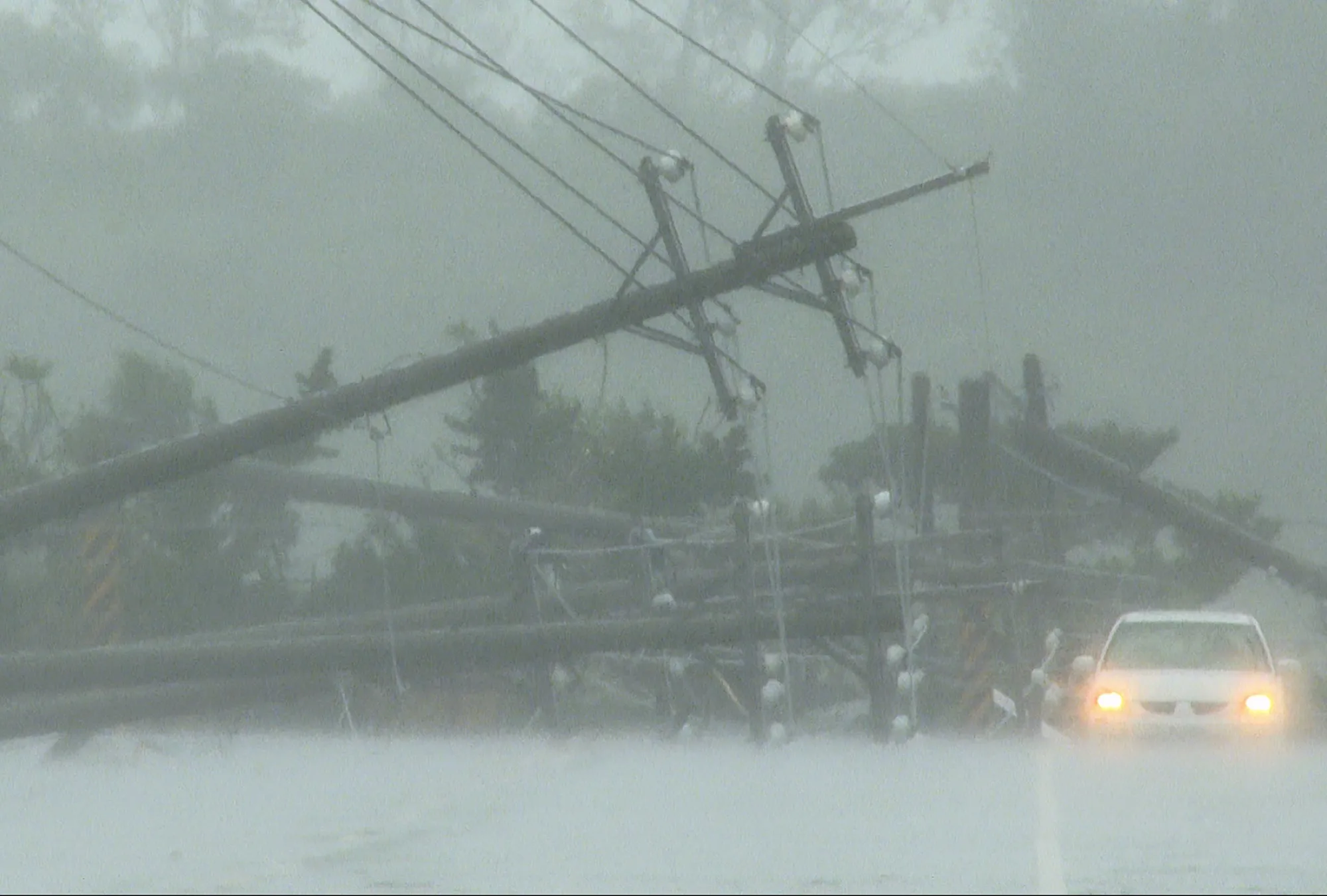 Power lines downed by the winds from Typhoon Koinu in Taiwan’s southern Pingtung County on Oct. 5.