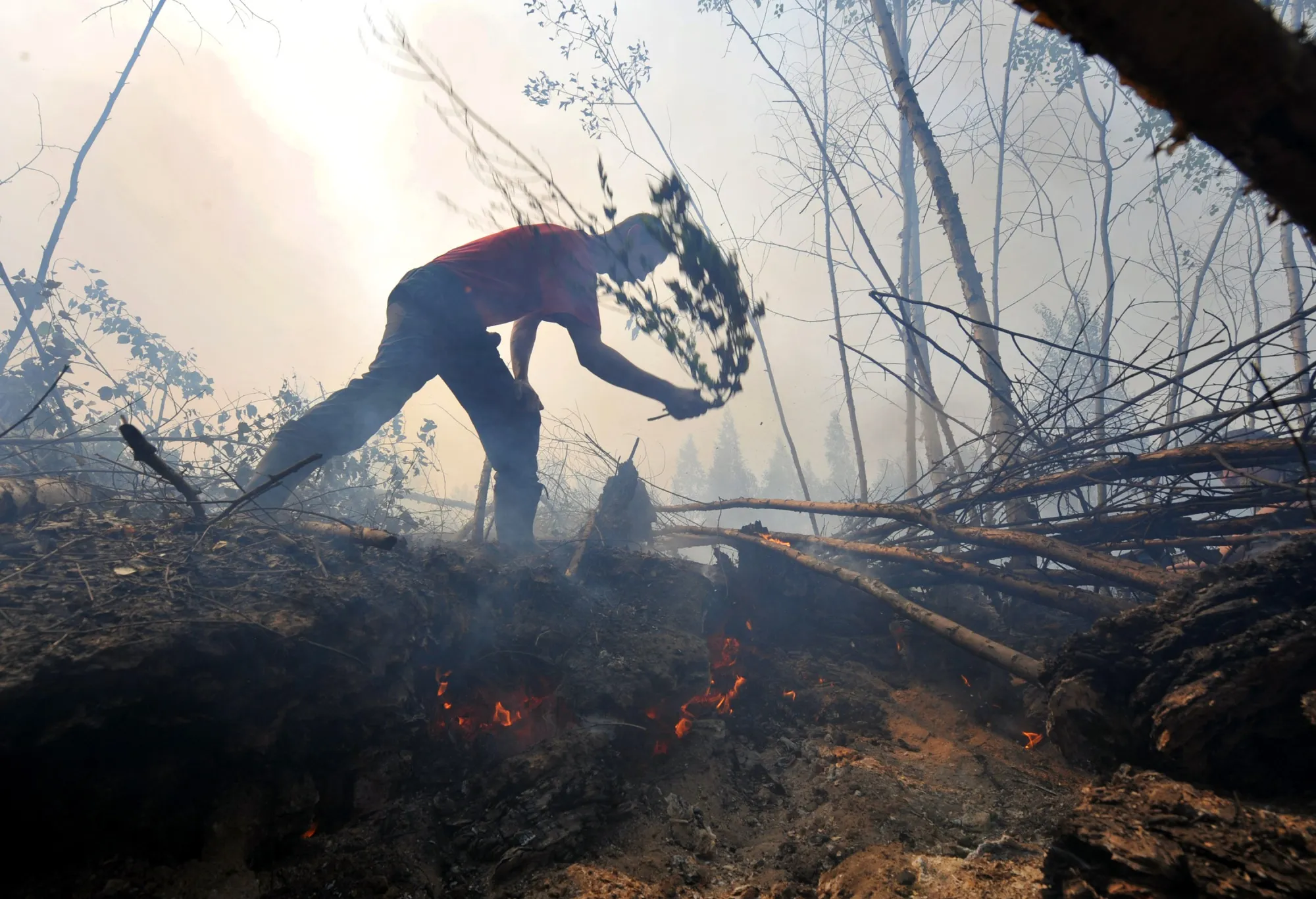 Slapping at climate change.&nbsp;