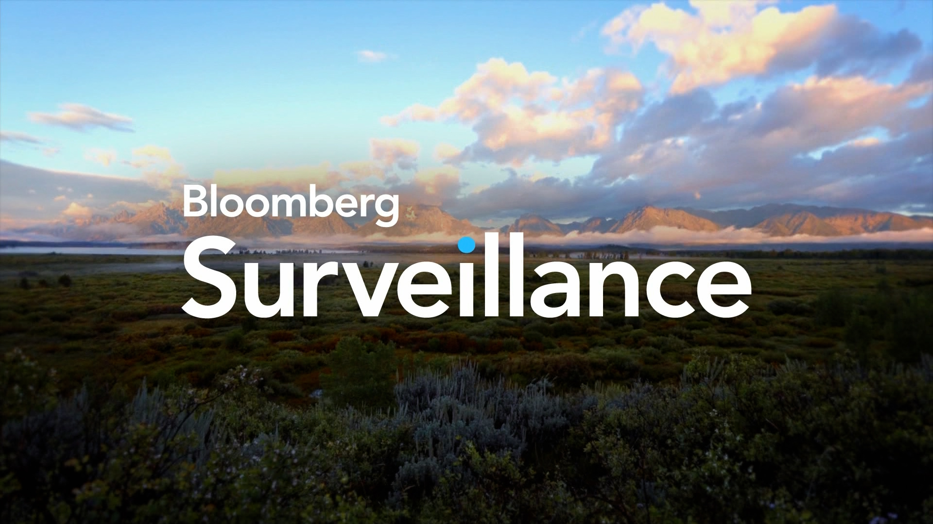 Jackson Holliday サイン入り やすっぽい 2500 Degrees D-13