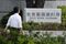 Inside the Tokyo Stock Exchange As Banks Continue Rally Following Yields Spike
