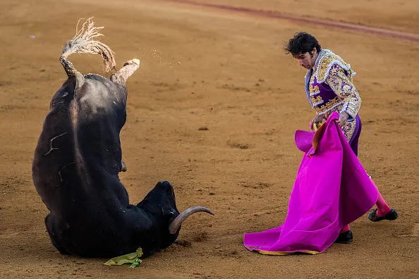 Will the bull market stumble?
