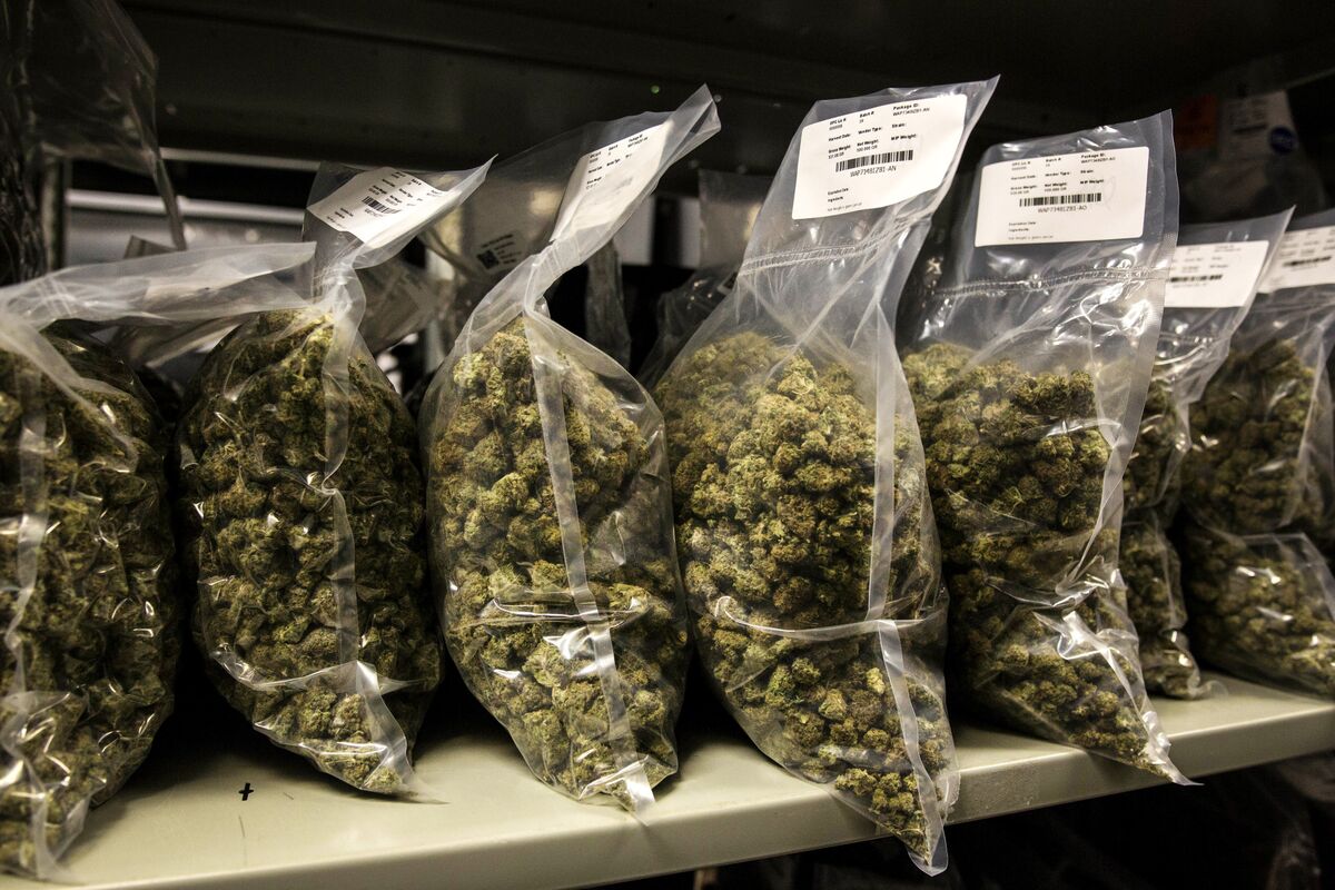 Ontario's Pot Restrictions Have Producers Seeking Workarounds Bloomberg