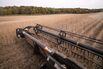 China’s Soybean Feud With Trump Leaves US Farmers With Huge Crops And Few Buyers