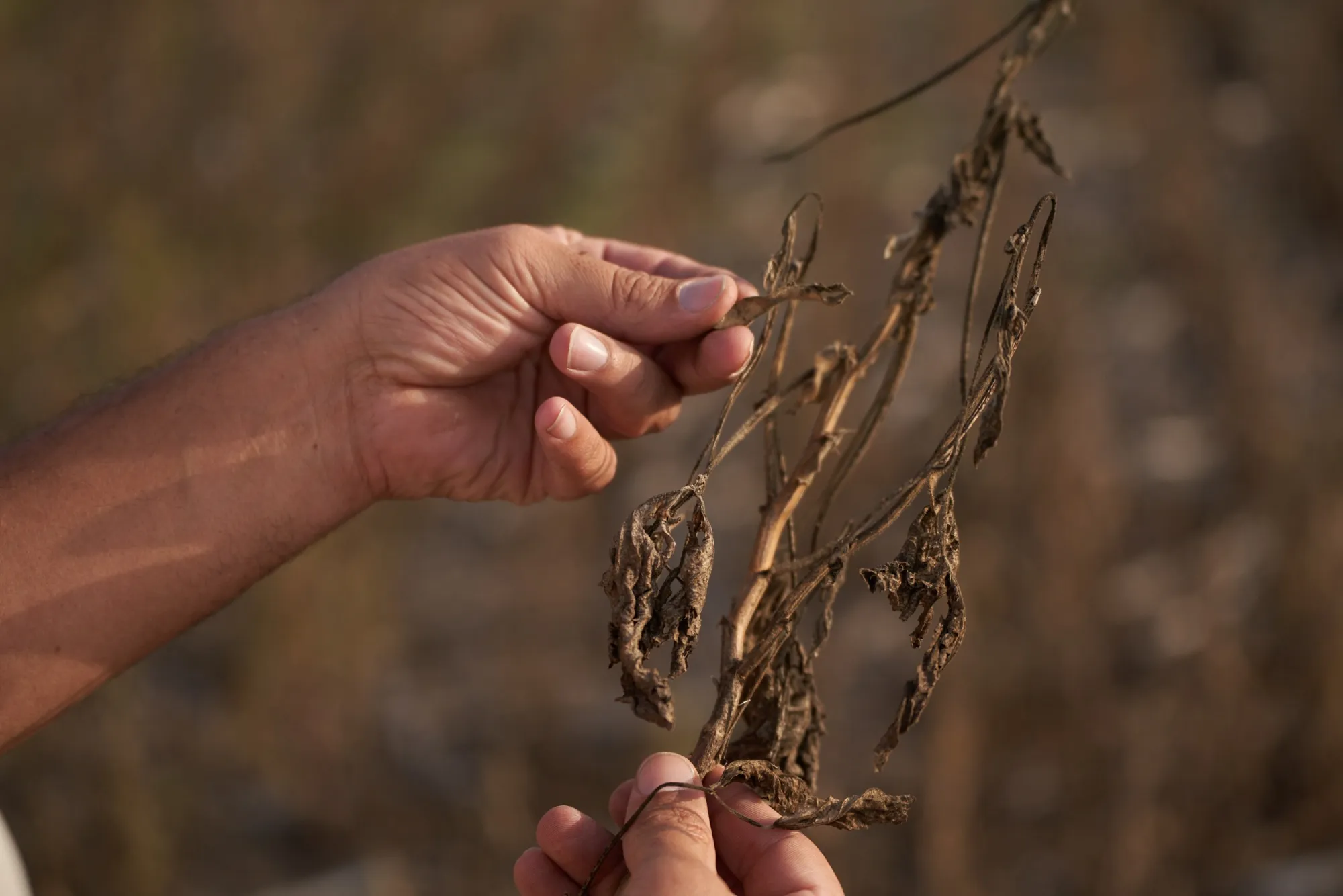 Argentina needs the money to repay previous debts owed to the Washington-based lender after&nbsp;a record drought&nbsp;cost the country $20 billion of agriculture exports.