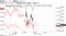 日経平均とドル円、長期国債先物の値動き（26日）