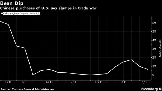 Soybeans Sink as China Hikes Tariffs on American Farm Products