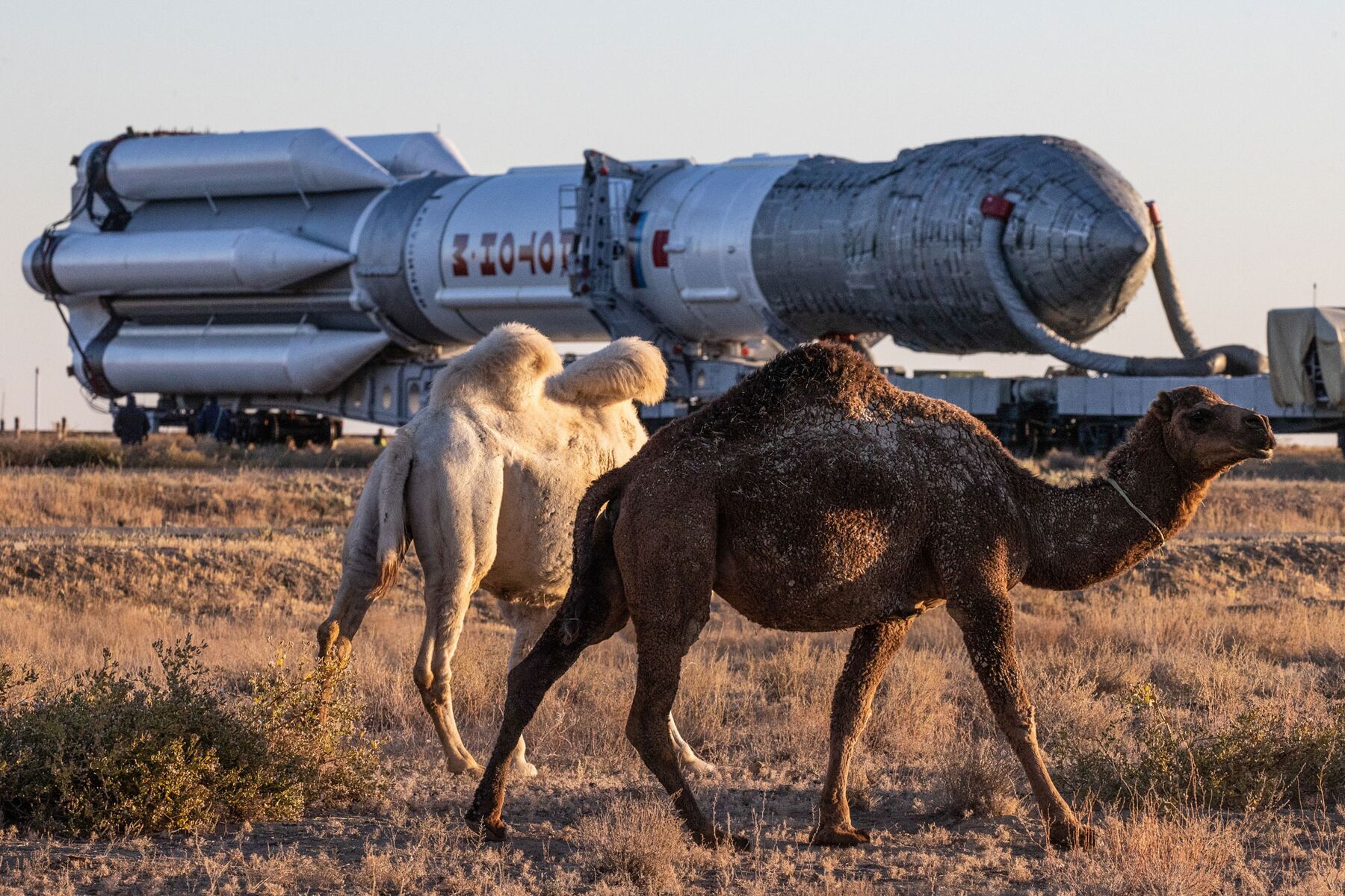 Russia’s Space Program Reels After Putin’s Ukraine Invasion - Bloomberg