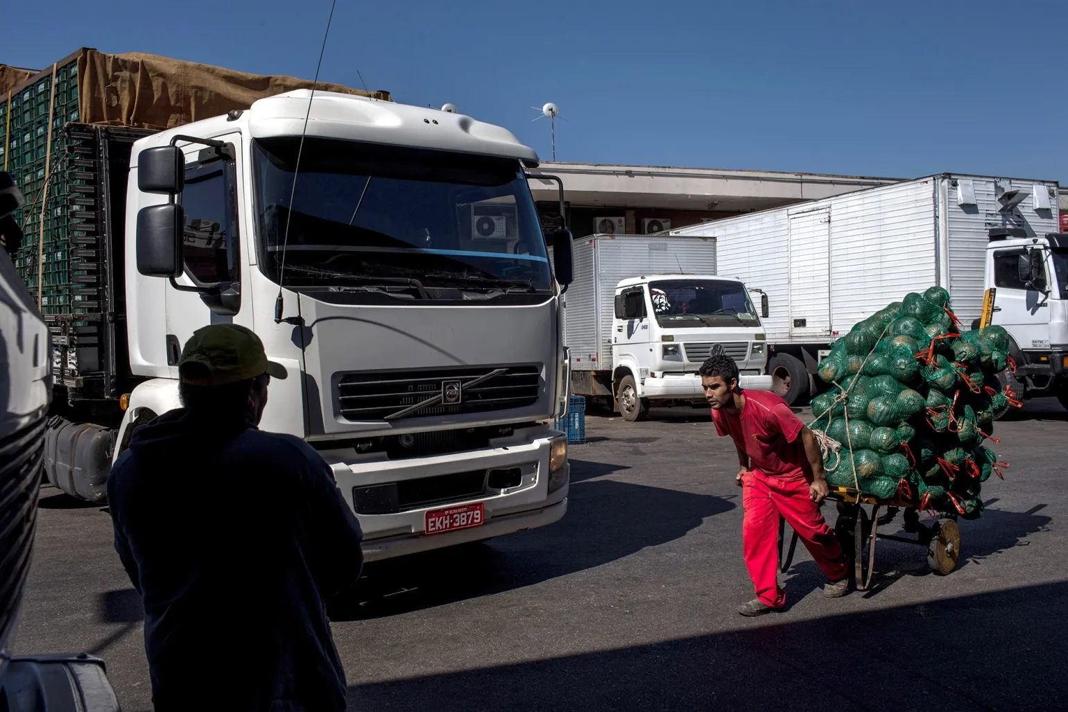 Workers unload vegetables and greens at a warehouse&nbsp;in San Paulo.