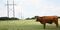 Most Expensive Electric Utility in Texas: Southwestern Electric Cooperative