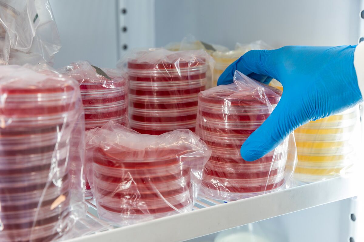 Ardian Is Said to Tap Morgan Stanley, Macquarie for GBA Exit