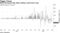 ARKK dip buyers help offset outflows amid fund's drop