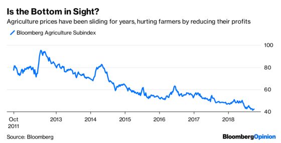 Canada Bulls Feel as If They Hit the Daily Double