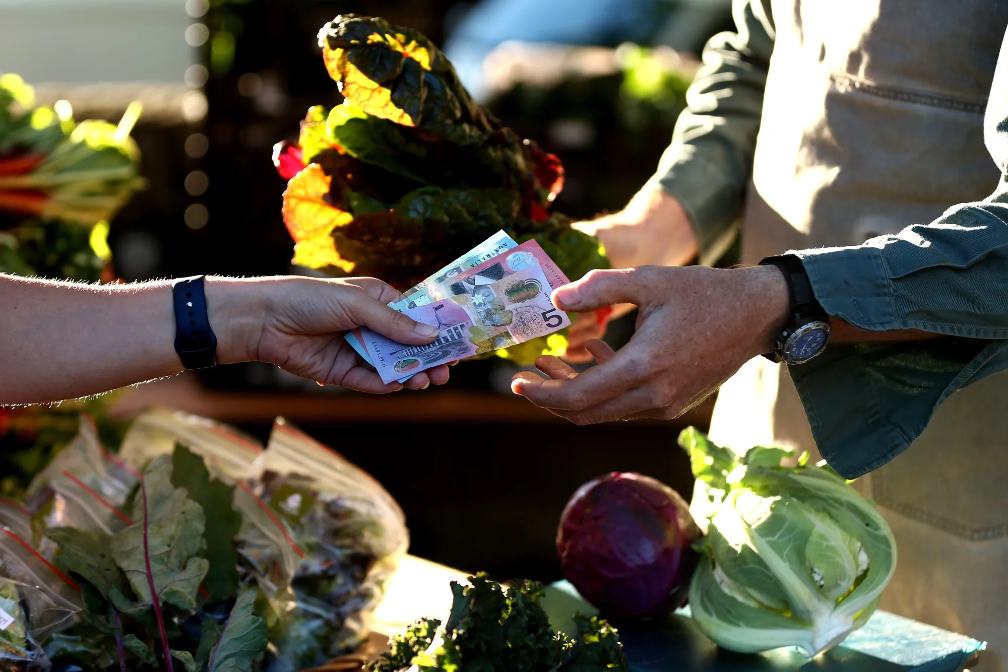 Farm-to-Table Operations at Moonacres