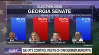 relates to Republicans Have Advantage in George Senate Runoff: Luntz