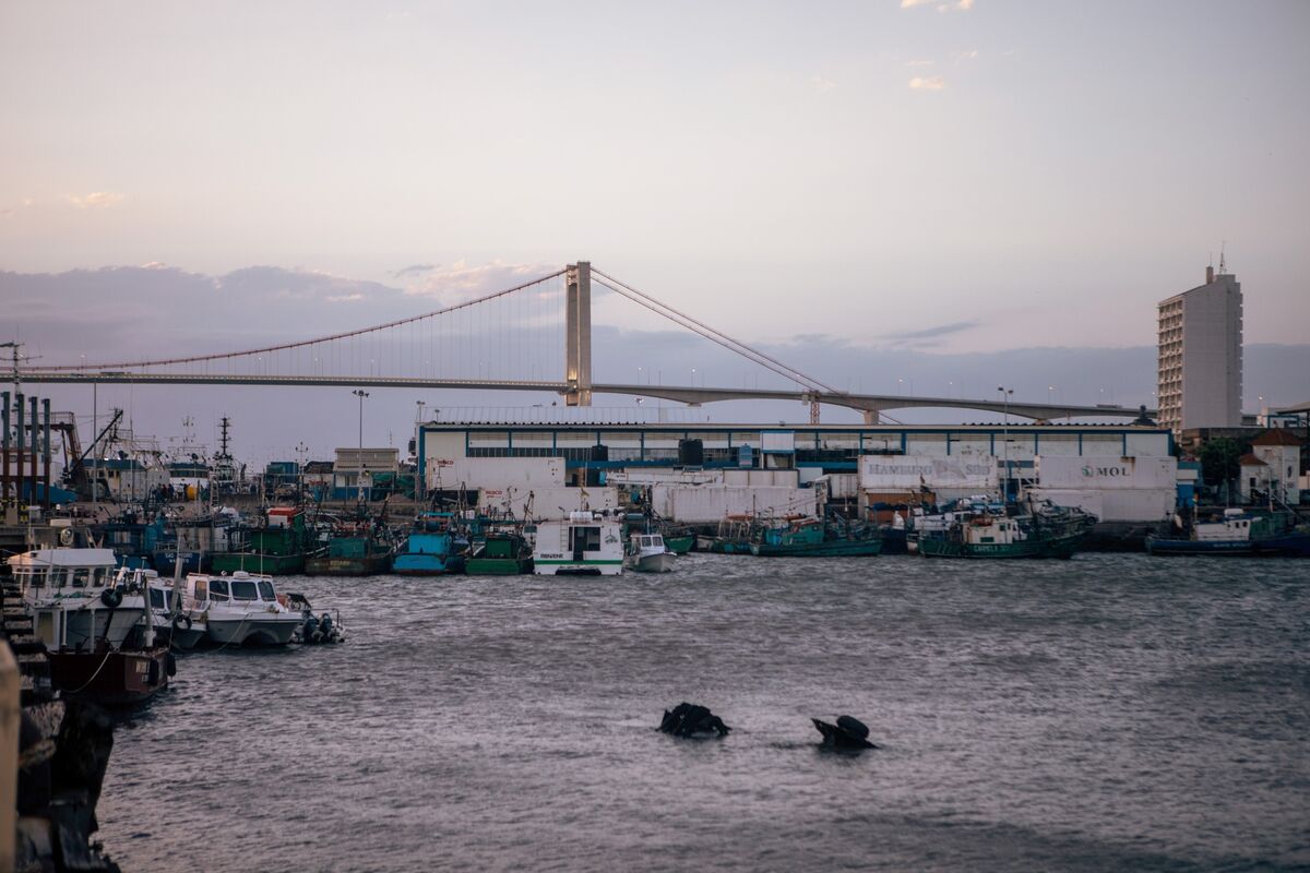 IMF Sounds Alarm on Mozambique Debt Distress, Budget Crisis