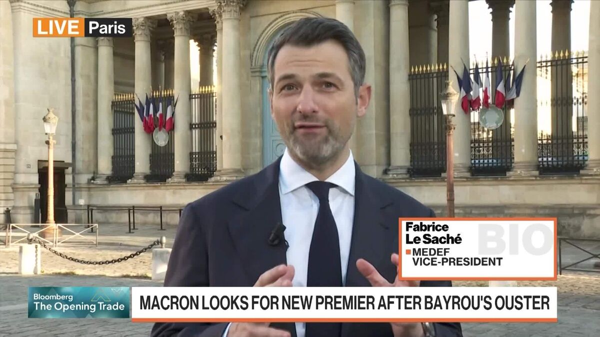 Medef VP Fabrice Le Sache on French Confidence Vote