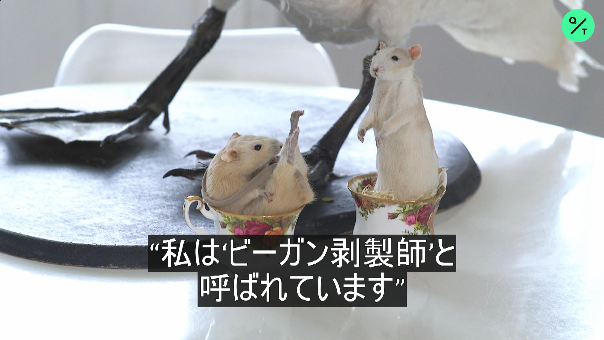 ビーガン剥製師 Bloomberg