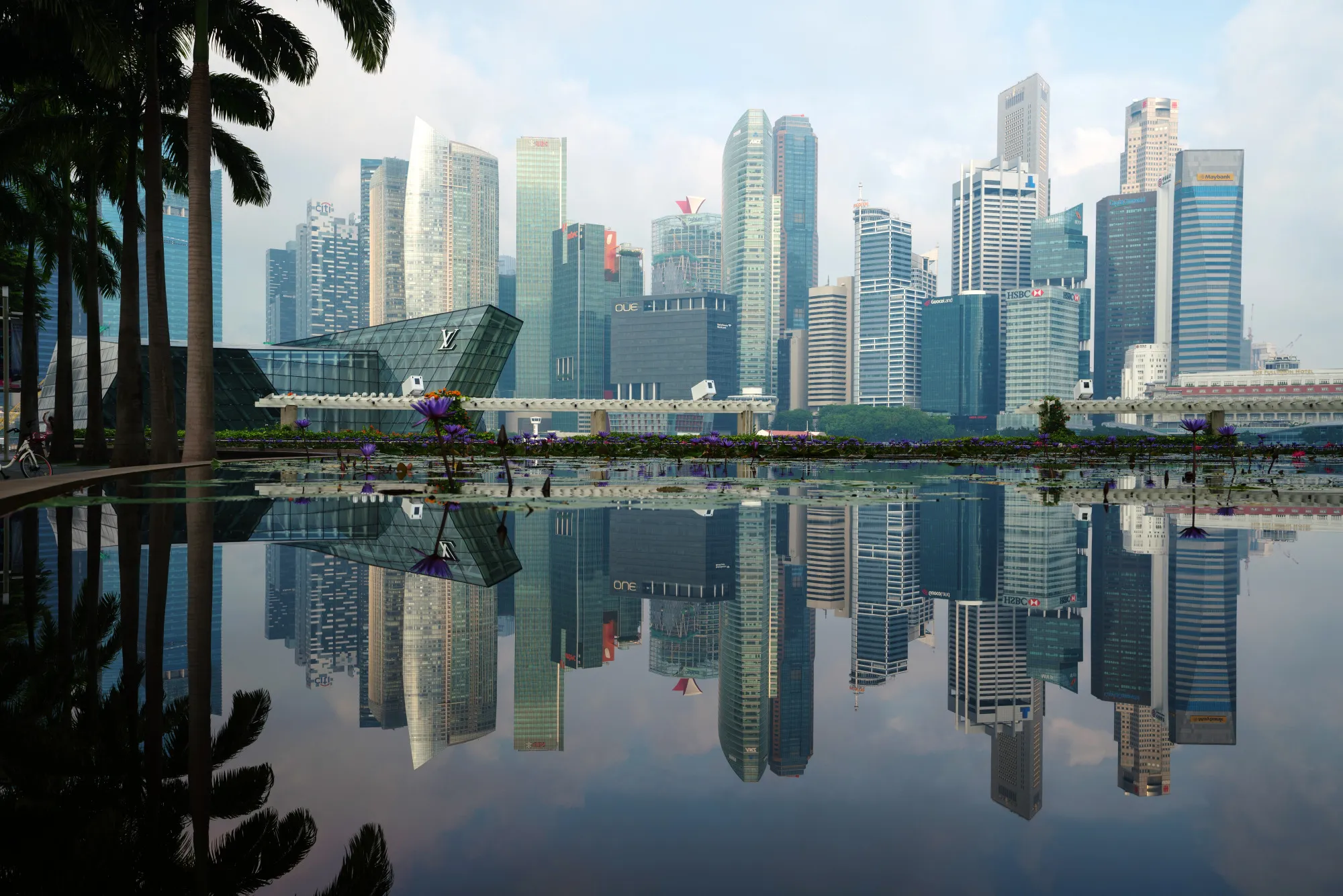 Commercial buildings in the central business district are reflected on a pond in Singapore.