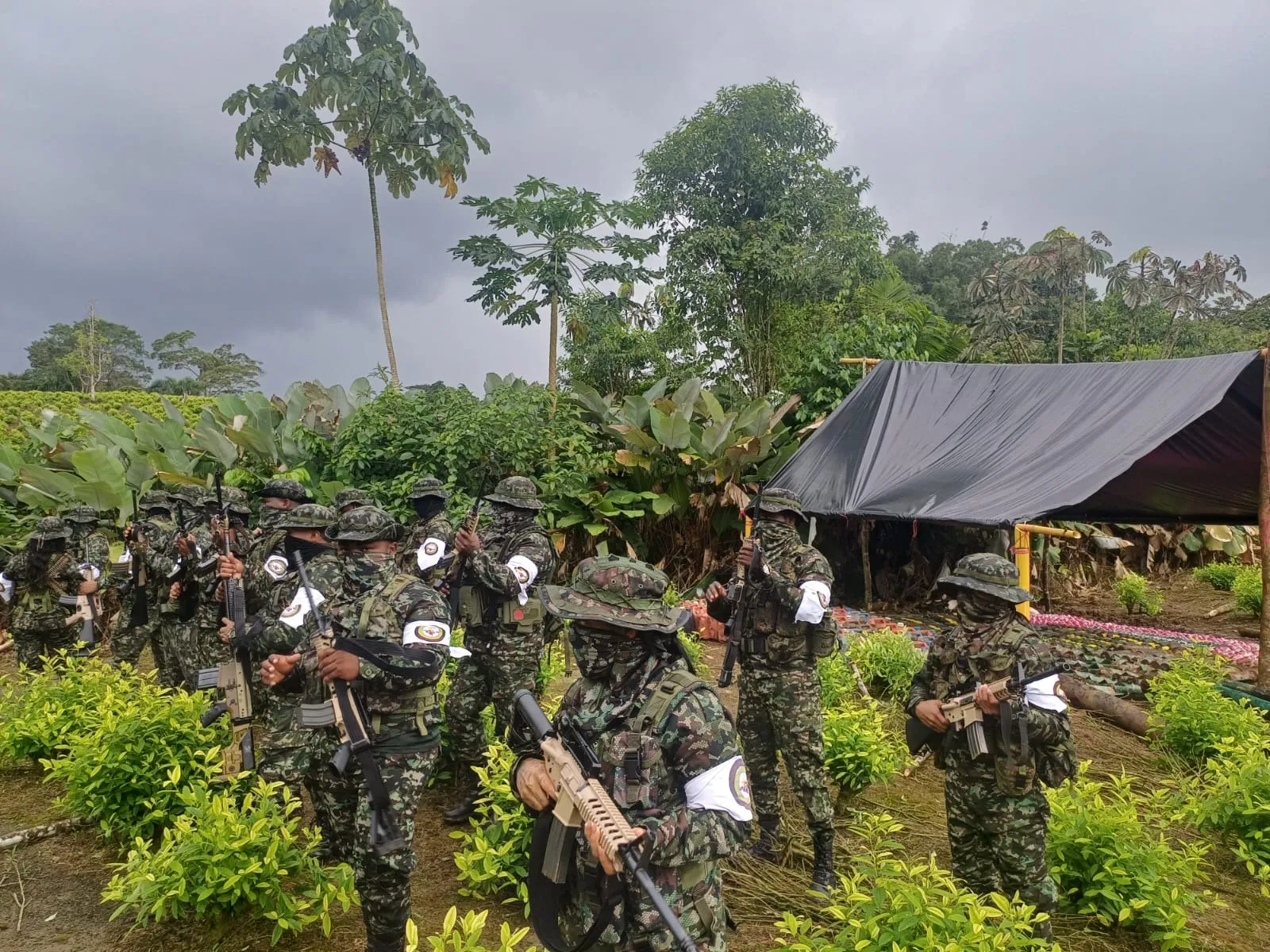 Guerrilleros de la CNEB montan guardia en un campo de coca junto a municiones que entregaron al Ejército para su destrucción en el&nbsp;departamento&nbsp;de Nariño, al suroeste de Colombia.