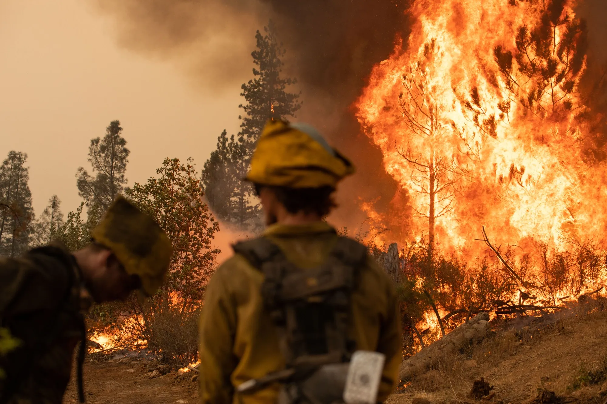 Firefighters watch a backfire operation during the Mosquito fire near Volcanoville, California, on Sept. 9, 2022.